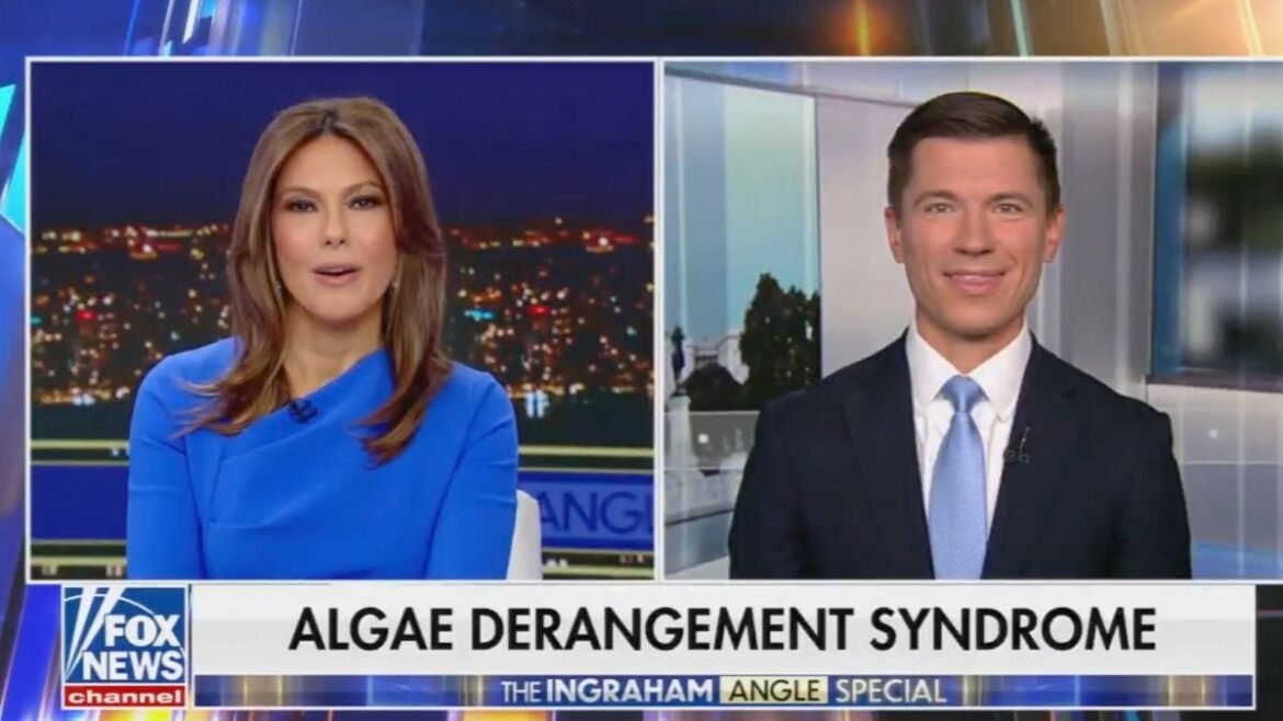 Fox News criticato per il commento sulla “sindrome da disturbo da alghe”.