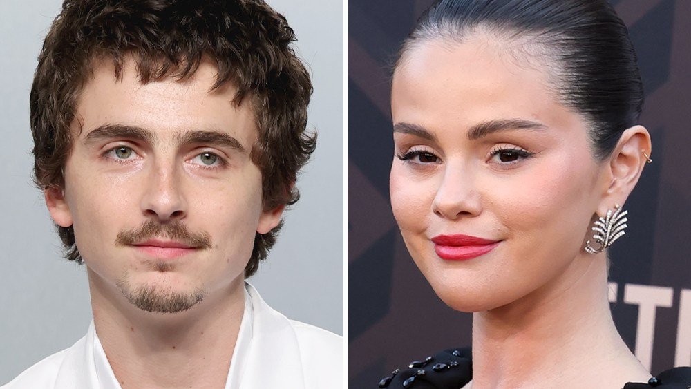 Timothée Chalamet e Selena Gomez protagonisti del film d’animazione “Not Alone”